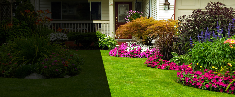 Kane Landscapers