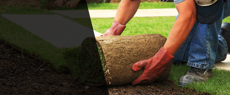 Kane Landscapers